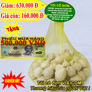 tỏi cô đơn viaicom xuất khẩu