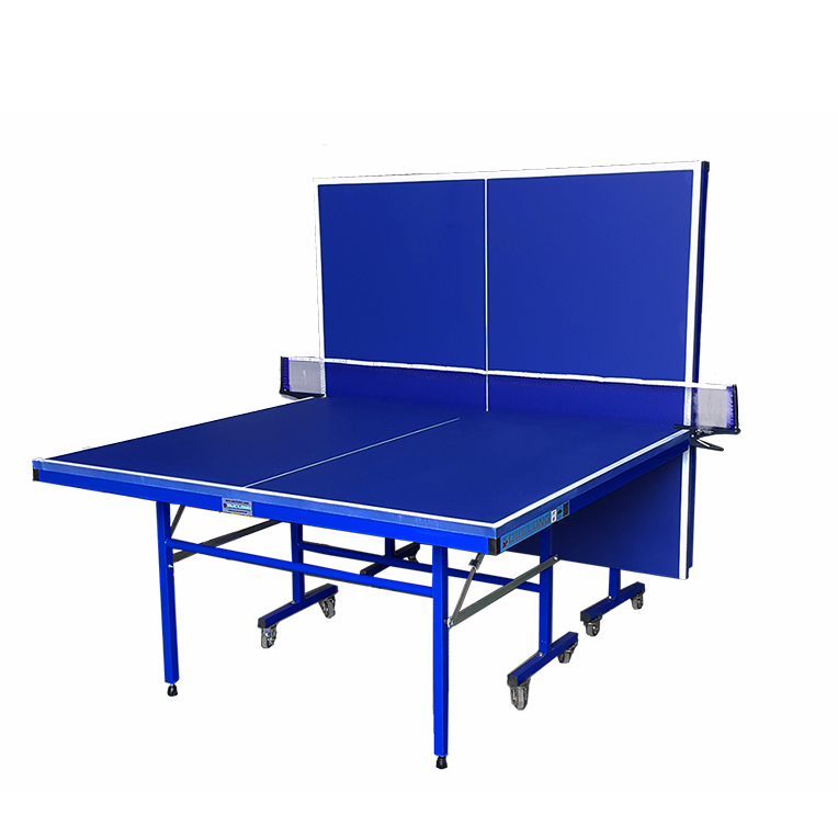 Bàn bóng bàn Đức Long 3425