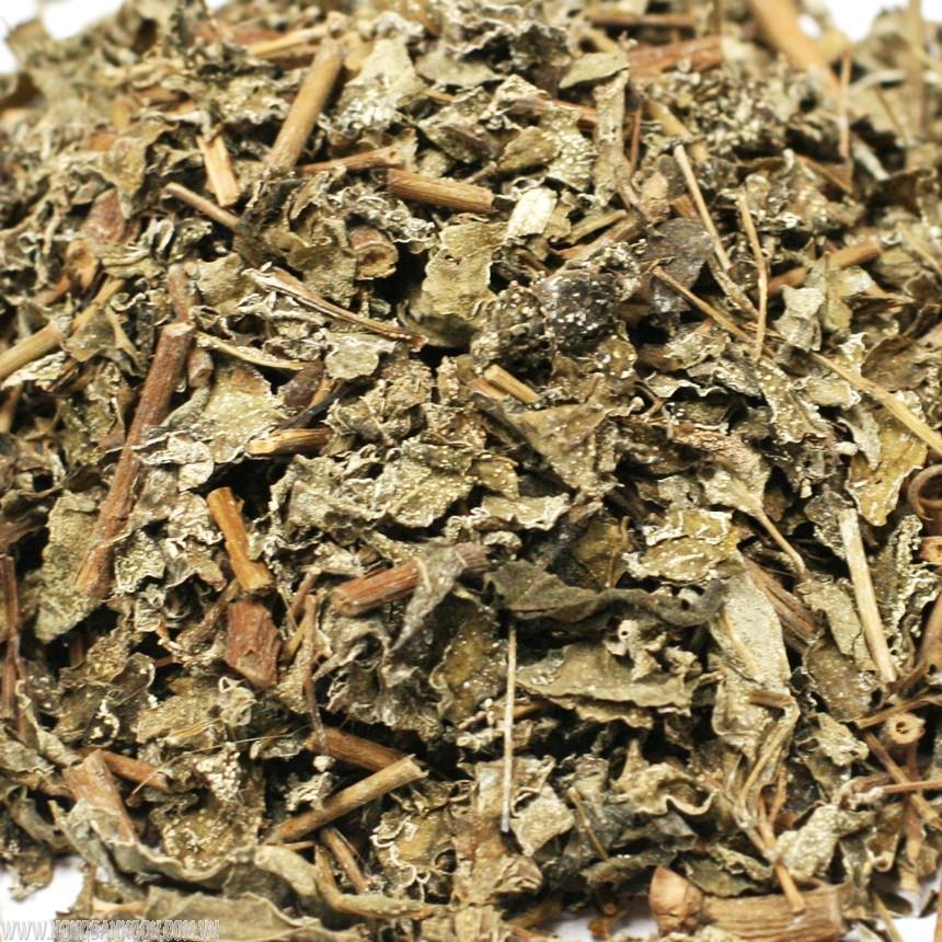 Cách sử dụng chè dây để chăm sóc sức khỏe Cách sử dụng chè dây để chăm sóc sức khỏe