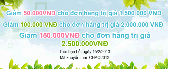 Chương trình khuyến mãi chào 2013