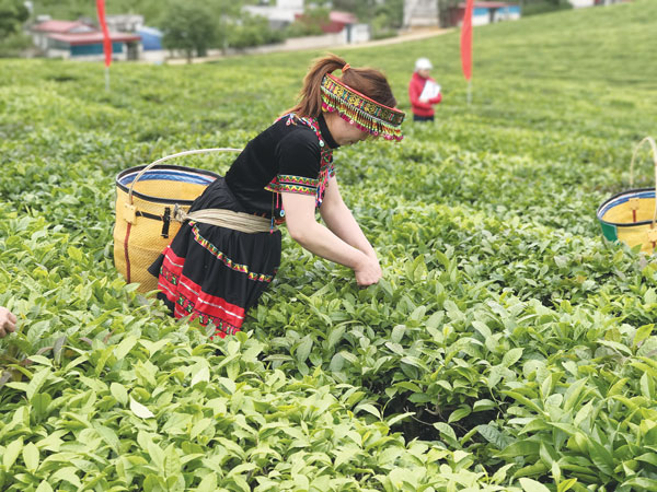 Xuất khẩu nông sản tỷ USD “lao dốc”
