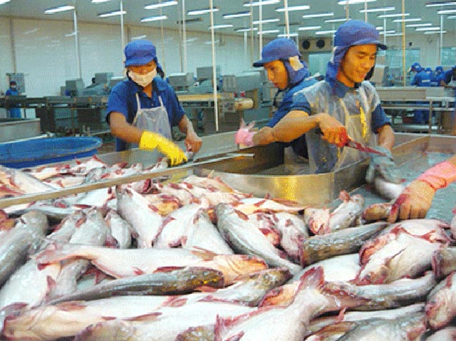 Thị trường cá tra chủ động ứng phó với các rào cản