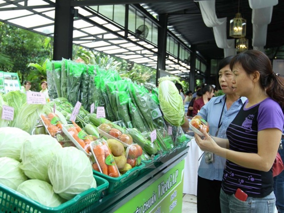 EU - Thị trường lớn cho xuất khẩu rau quả Việt Nam