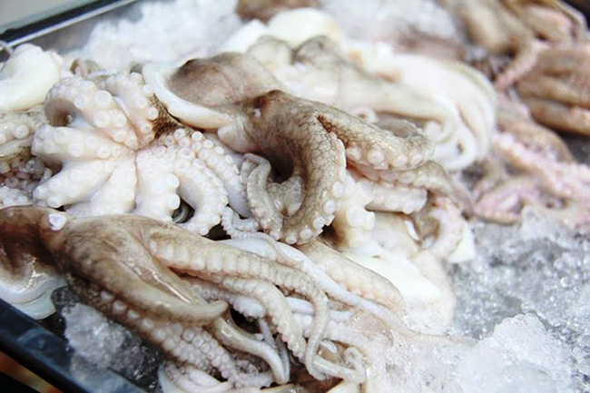 Xuất khẩu mực, bạch tuộc sang thị trường Hàn Quốc nhiều triển vọng