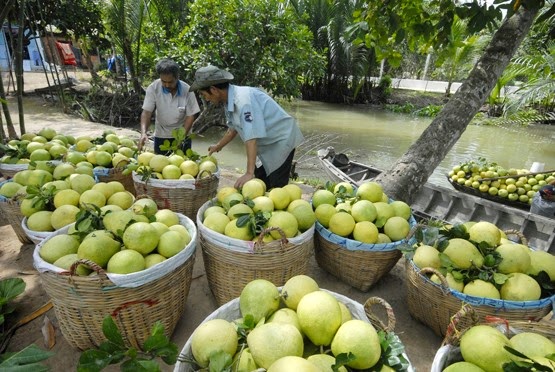 Xuất khẩu nông sản Hậu Giang