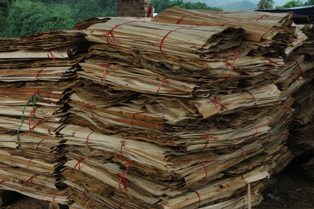 Cung cấp gỗ sơ chế xuất khẩu