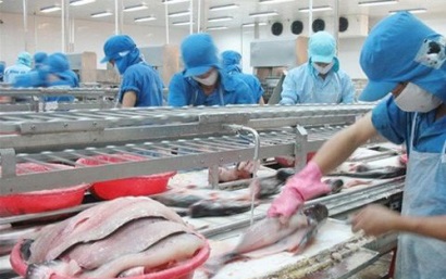 Trung Quốc trở thành thị trường nhập khẩu cá tra lớn từ Việt Nam