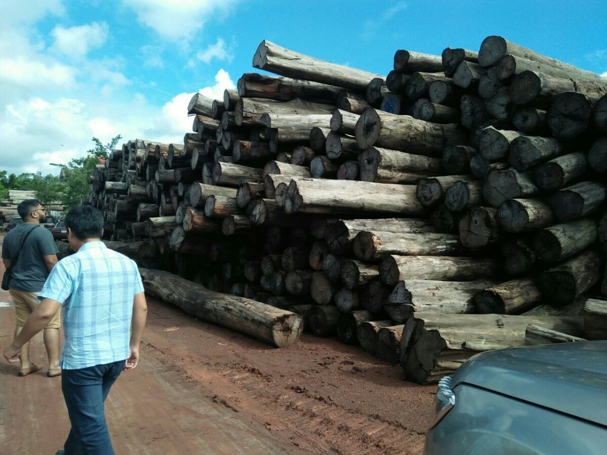 Cung cấp gỗ căm xe tại Ấn Độ
