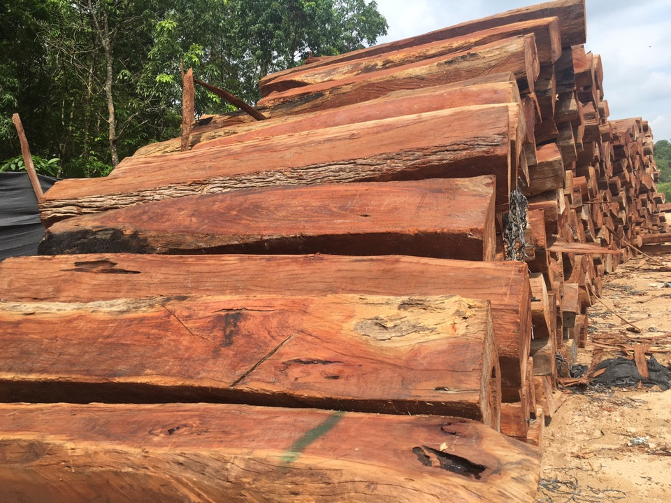 Cung cấp gỗ căm xe tại Tuyên Quang