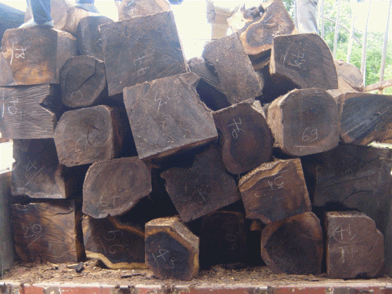 Cung cấp gỗ căm xe tại Đà Nẵng