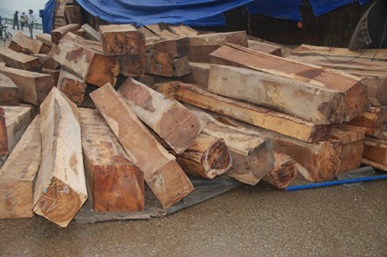 Cung cấp gỗ căm xe tại Đắk Nông