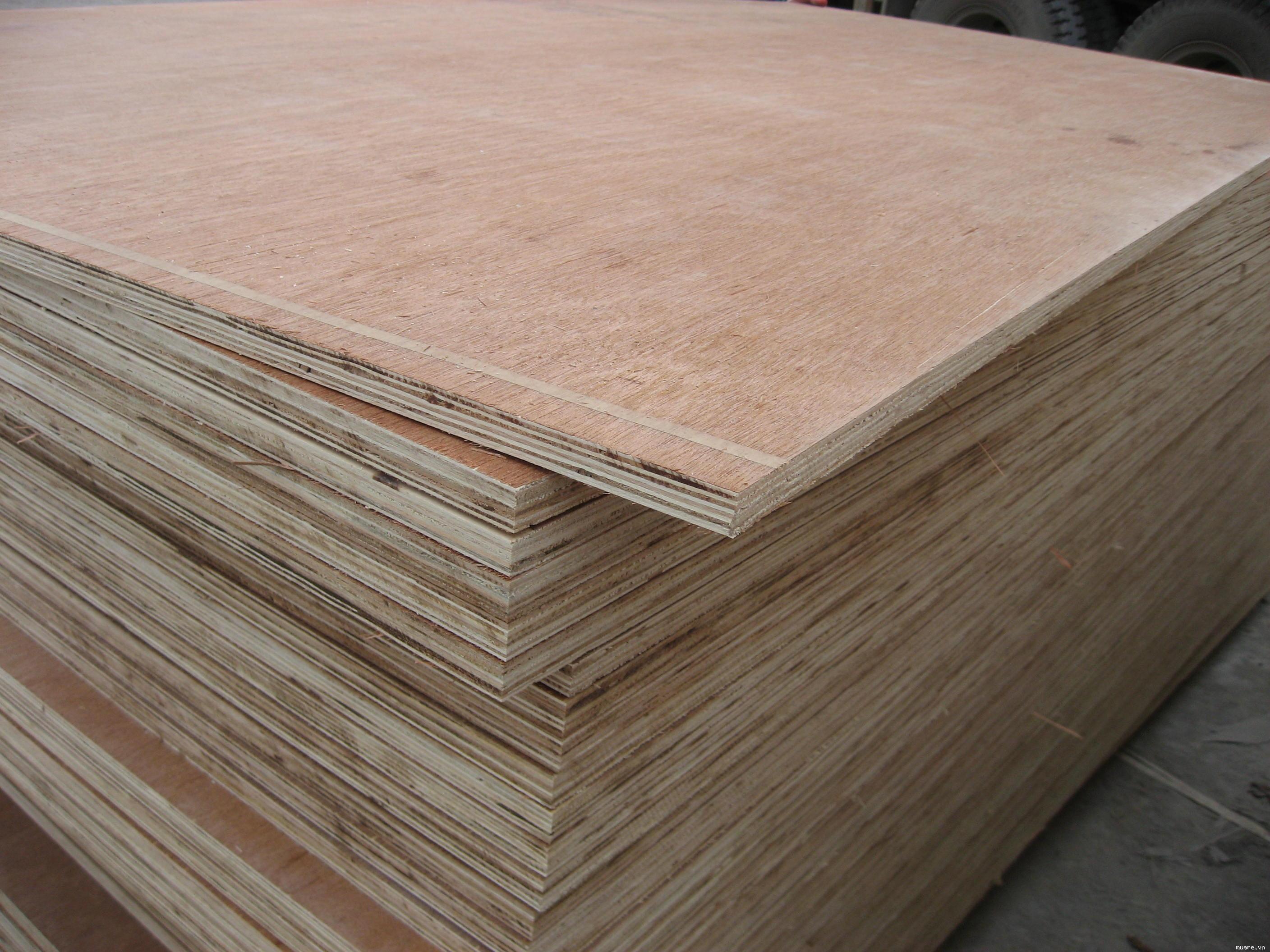 Doanh nghiệp Hàn Quốc có nhu cầu nhập khẩu gỗ dán (plywood)