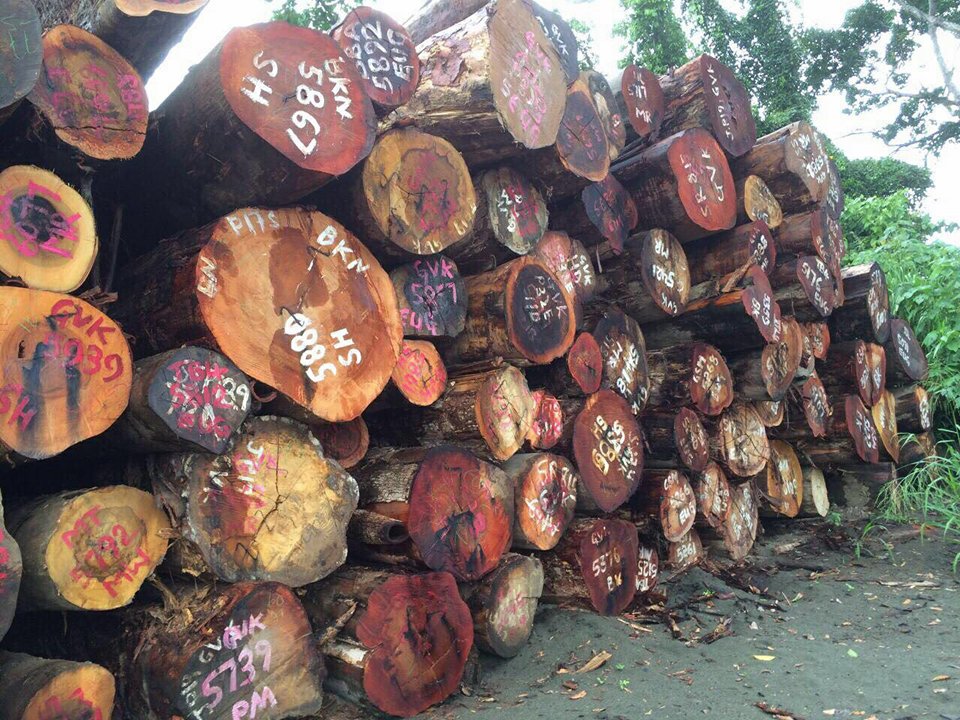 Cung cấp 1triệu tấn gỗ các loại nhập khẩu từ LÀO và CAMPUCHIA