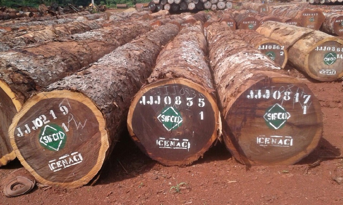 Cung cấp gỗ tại Ninh Thuận