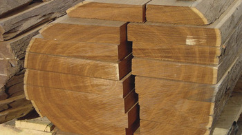 Cung cấp gỗ teak tại Ấn Độ