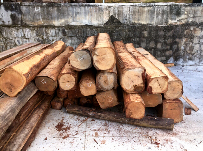 Cung cấp gỗ tại Tuyên Quang