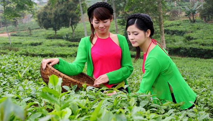 Xây dựng thương hiệu và phát huy văn hoá trà Việt