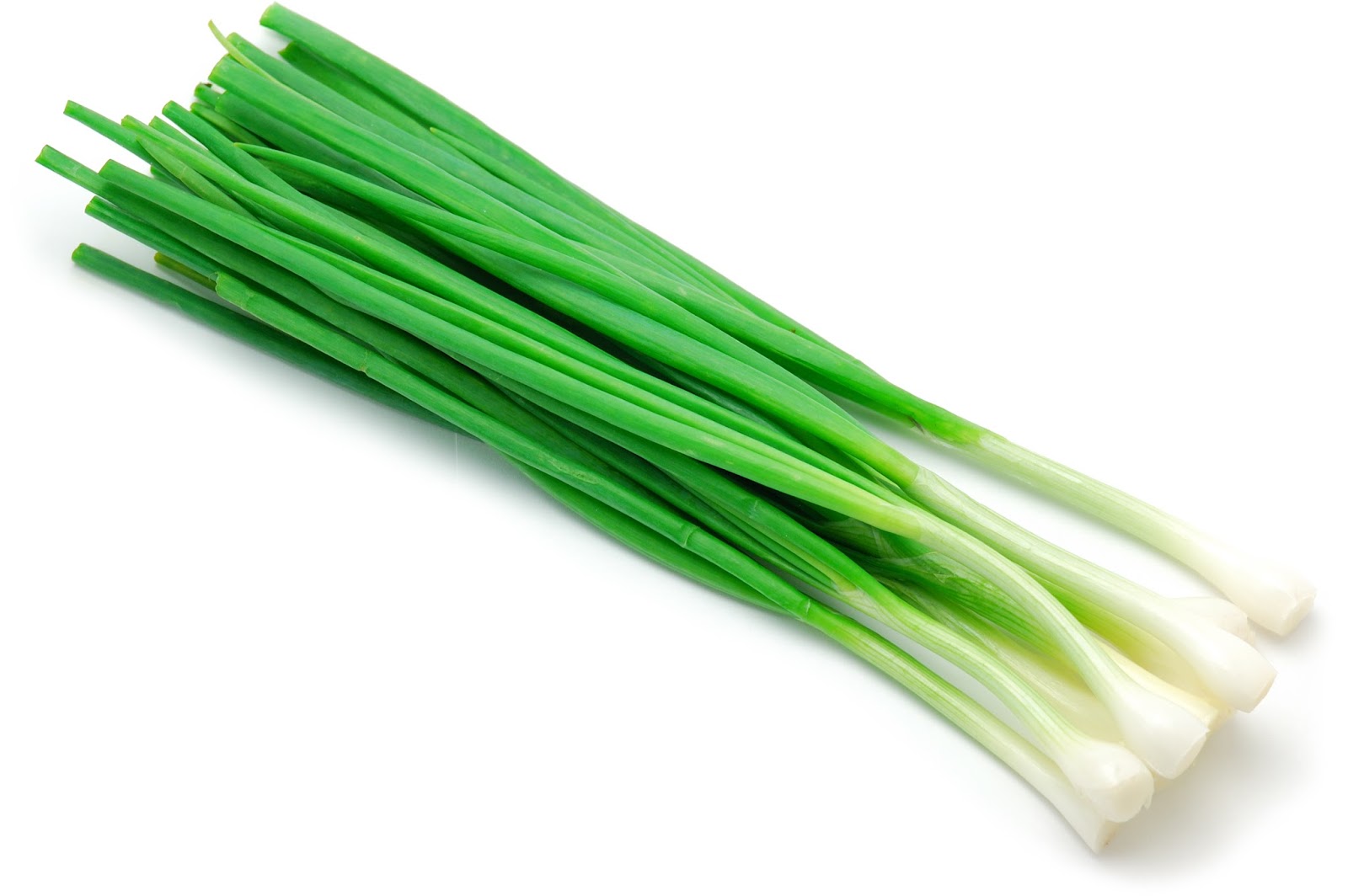 Doanh nghiệp Hàn Quốc cần nhập khẩu hành hoa (welsh onion)