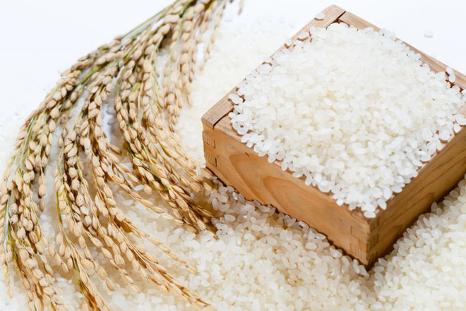 Giá gạo có thể tăng thêm 20 USD/Tấn trong 3 tháng tới
