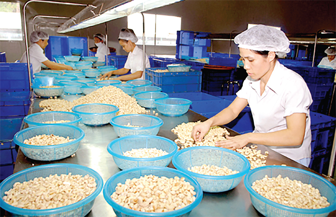 Kim ngạch xuất khẩu 6 tháng của Đồng Nai tăng trên 11%