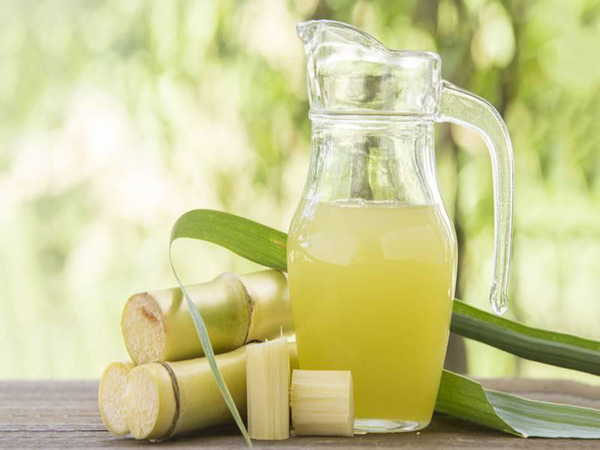 Nông dân trồng mía lỗ nặng