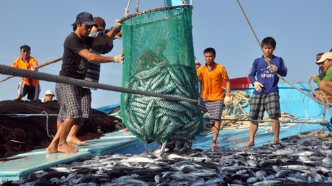 Việt Nam hướng đến phát triển nghề cá có trách nhiệm và bền vững