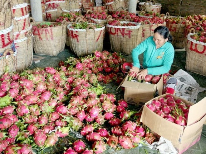 Nông sản Bắc Giang