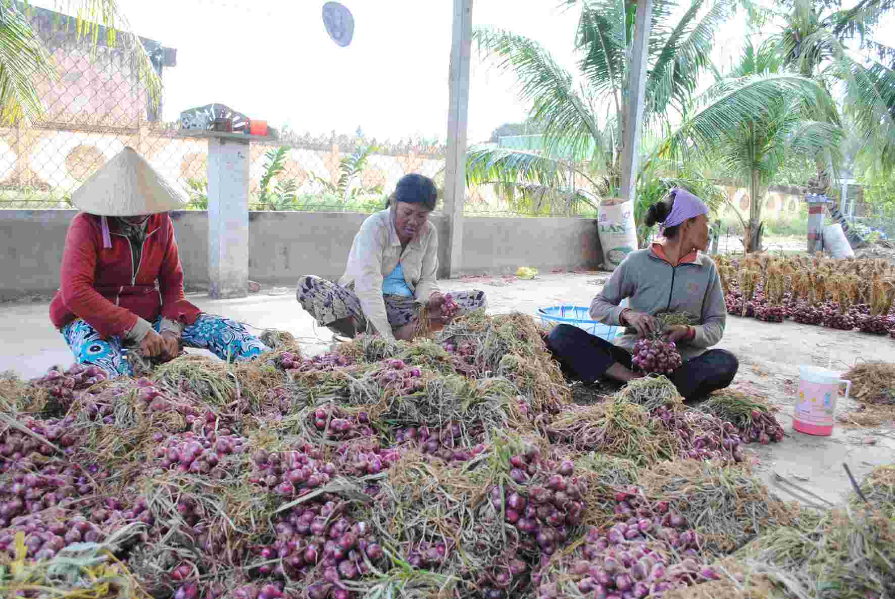 Nông sản Bạc Liêu