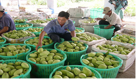 Nông sản Bến Tre