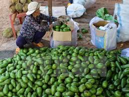 Nông sản Đắk Lắk