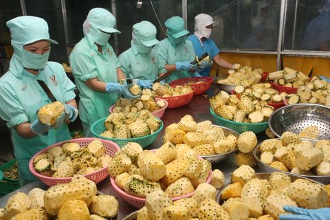 Nông sản xuất khẩu tại Hà Tĩnh