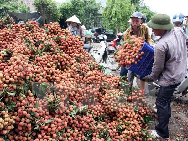 Nông Sản Quảng Bình