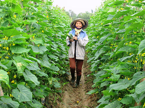 Nông Sản Quảng Nam