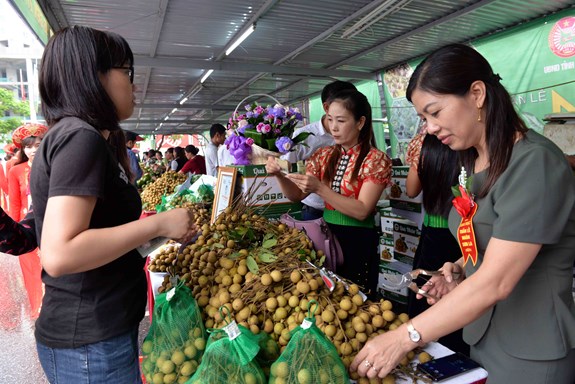 Lần đầu tiên “Tuần lễ nhãn và nông sản an toàn tỉnh Sơn La” tổ chức tại Hà Nội
