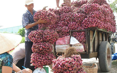 Nông Sản Sóc Trăng