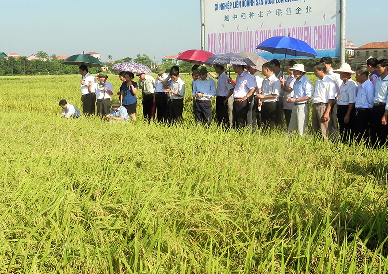 Cơ hội giao thương xuất nhập khẩu Quảng Ninh