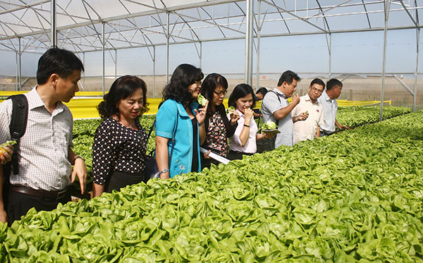 Xuất khẩu nông sản Lâm Đồng