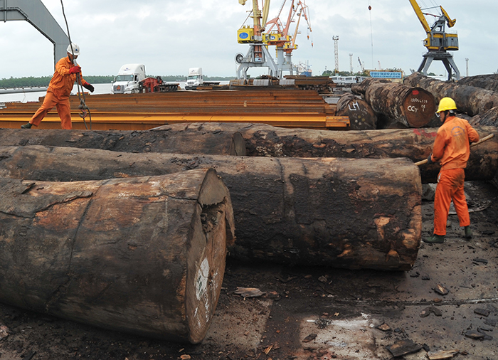 Nhập khẩu gỗ từ châu Phi: Cảnh báo rủi ro pháp lý