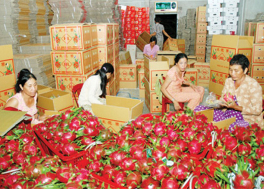 Xuất khẩu nông sản Bình Định