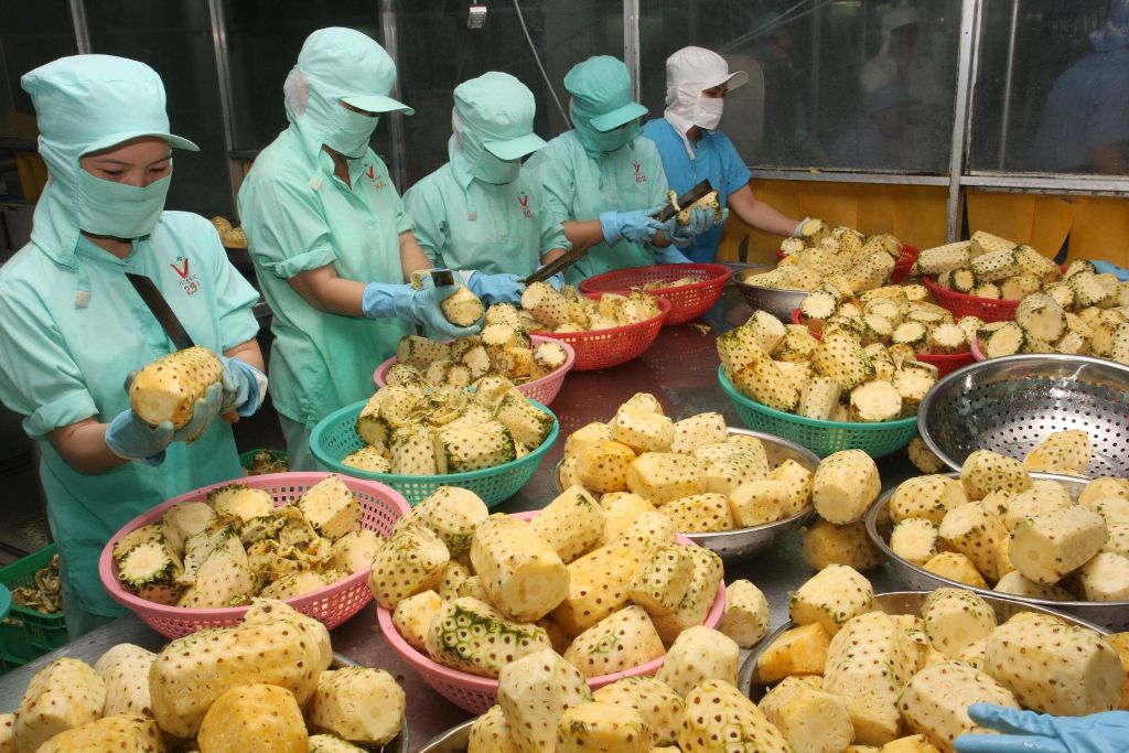 Một số vấn đề về xuất khẩu nông sản chủ lực của Việt Nam