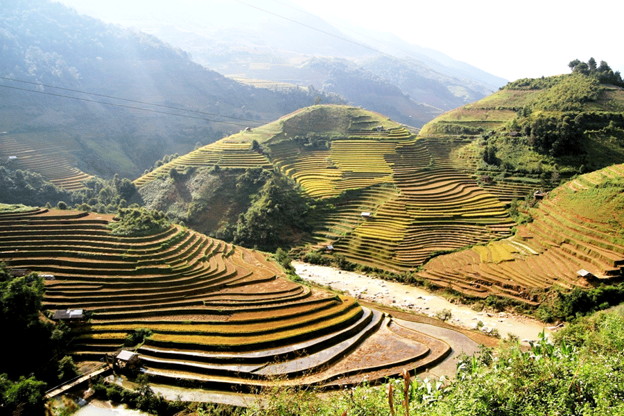 Xuất khẩu nông sản Gia Lai