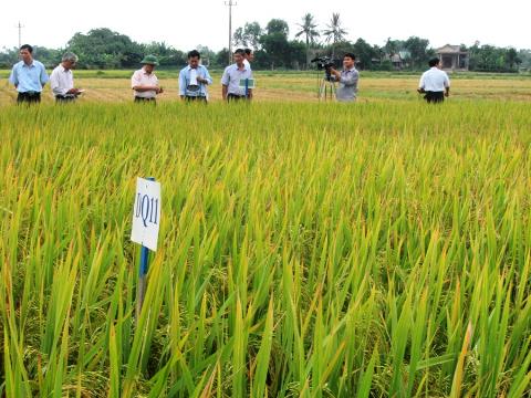 Xuất khẩu nông sản Nam Định