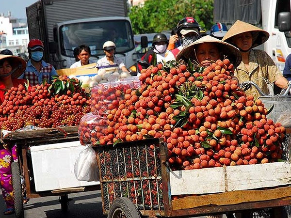 Kỷ lục mới: Rau quả mang về 3,5 tỉ USD cho Việt Nam