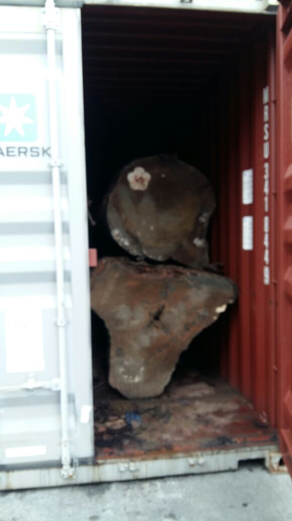 Container 1 kiểm dịch