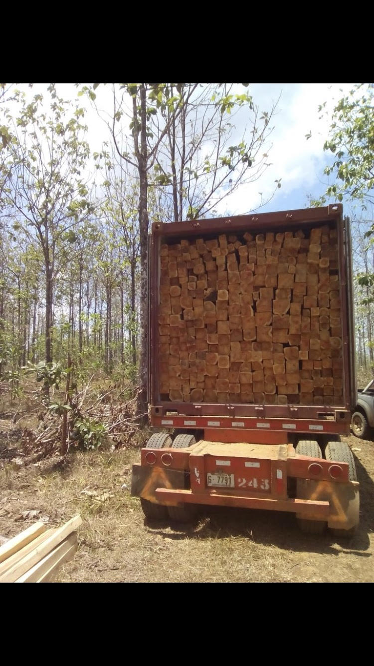 Teak rough Squares