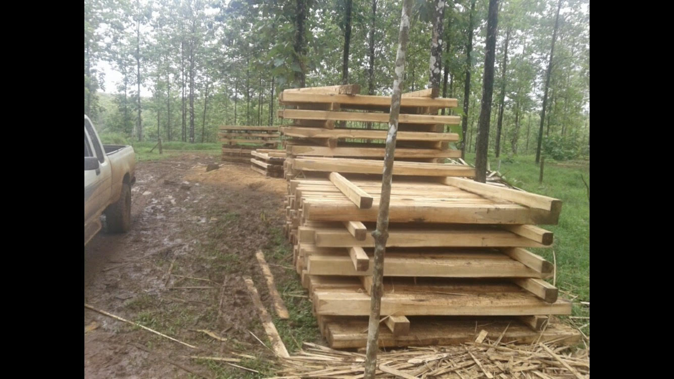 Teak 3