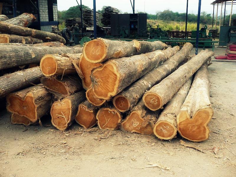 Cần tìm đối tác có nhu cầu nhập 500 khối gỗ teak