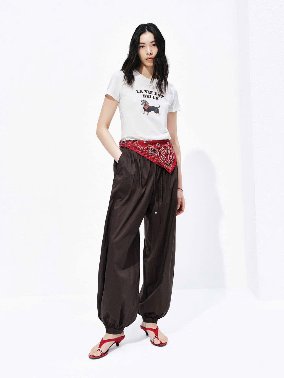 ÁO THUN COTTON IN HÌNH THÚ CƯNG DỄ THƯƠNG
