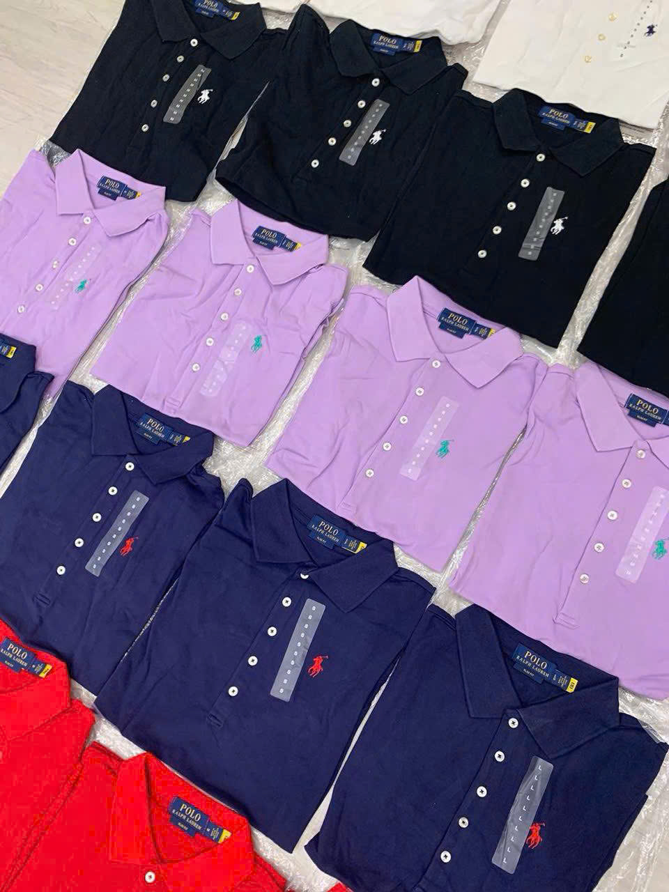Áo Polo cổ bẻ cotton 7 màu bản tuồn auth