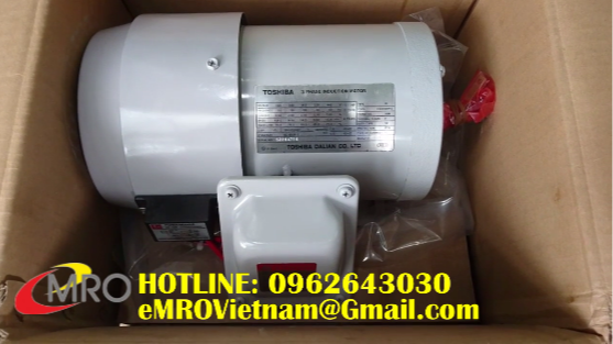 Motor điện 3 pha TOSHIBA, Động cơ Toshiba 3 pha Model HD 105R AC200220v 5060HZ 